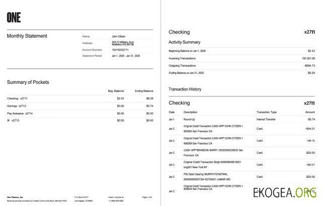 Modèle Word et PDF de relevé bancaire de USA One Finance, Inc., 2 pages